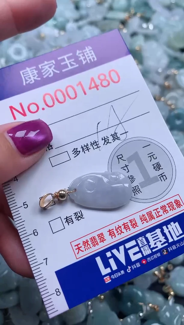 颈饰未镶嵌翡翠1480