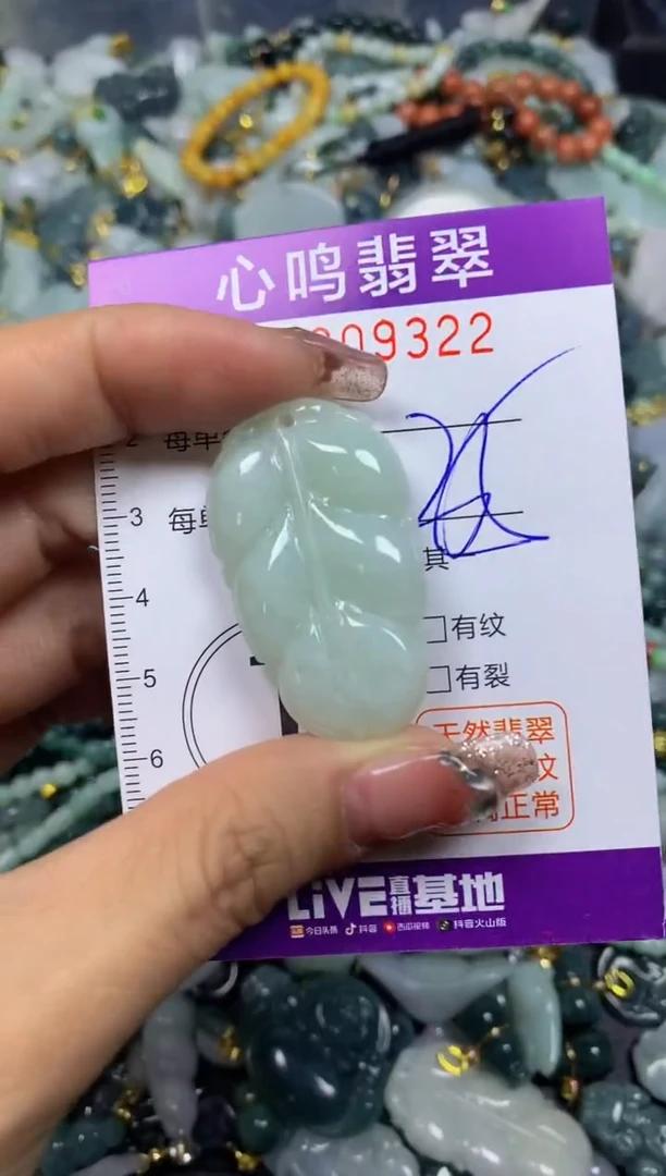 【闪购商品】翡翠颈饰未镶嵌闪购009322