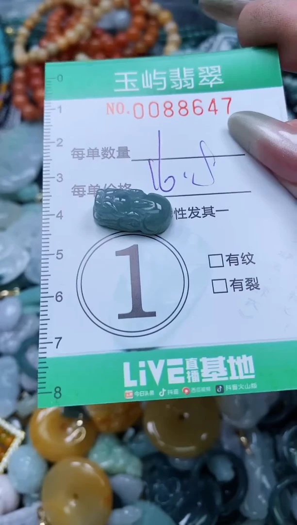 【闪购商品】翡翠颈饰未镶嵌闪购0088647