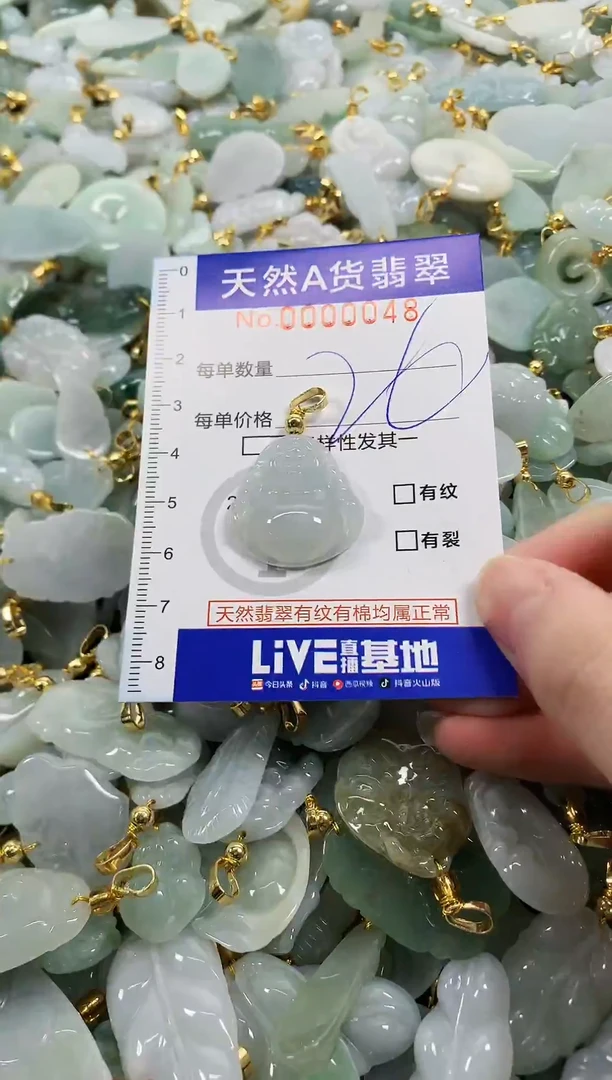 颈饰未镶嵌翡翠天然a货翡翠