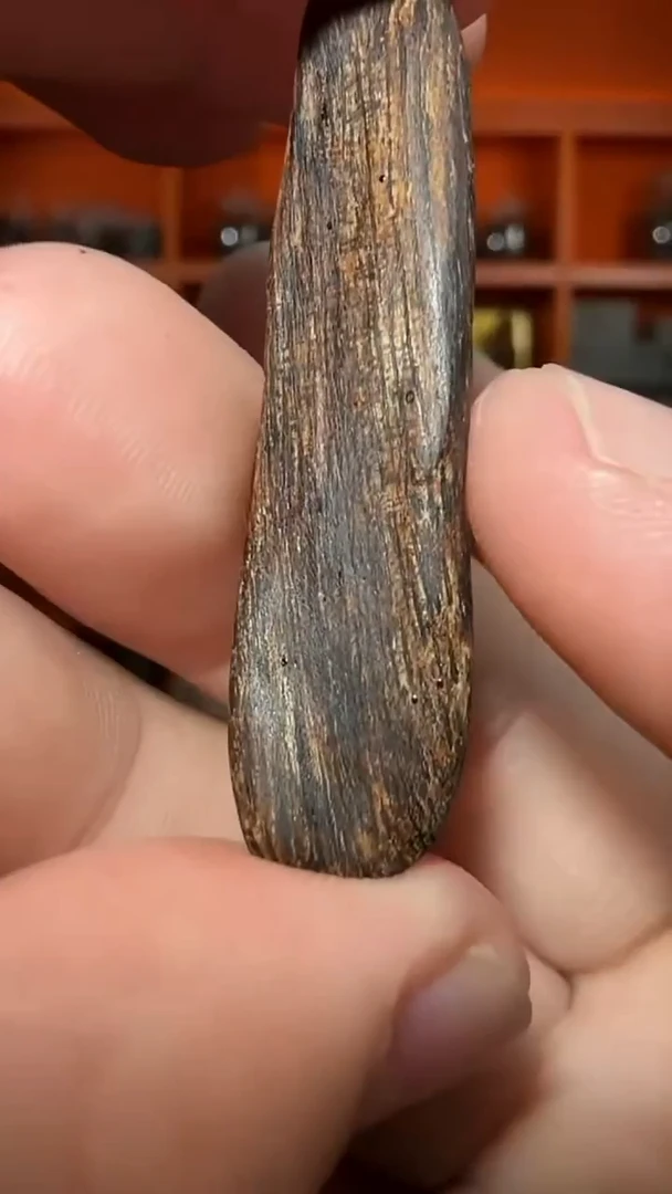 沉香吊坠113号天然野沉水挂件多样性发一