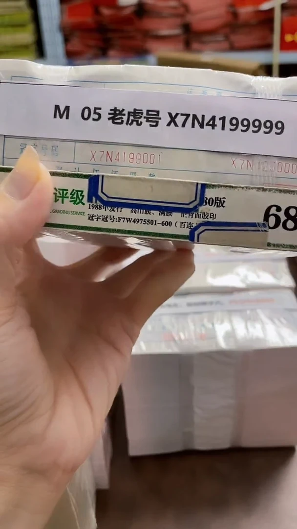 M 05 老虎号 X7N4199999
