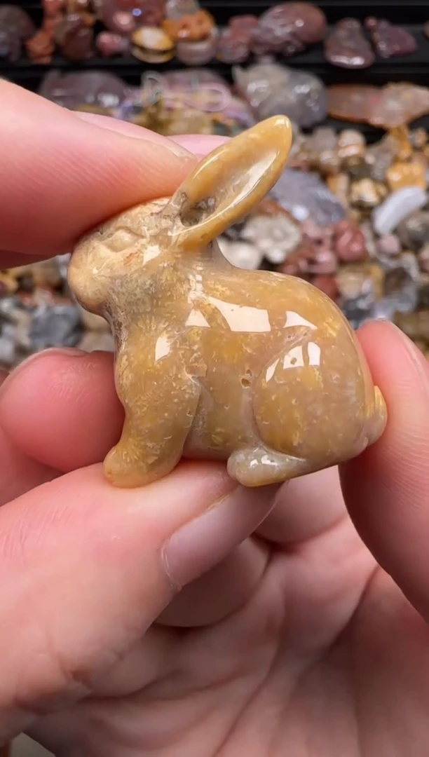 硅化珊瑚（珊瑚玉）未镶嵌颈饰399