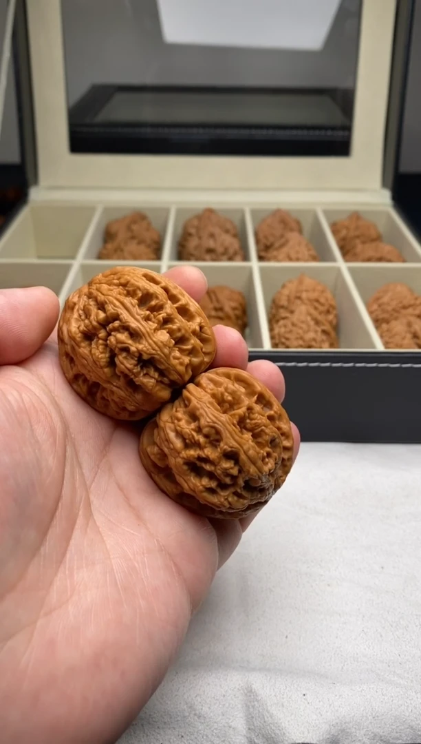 【闪购商品】文玩核桃把件大粗筋42X43X40,49g