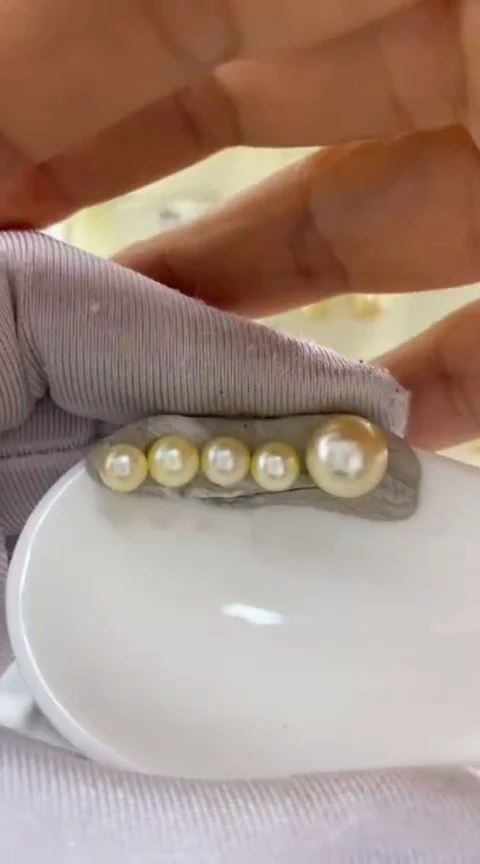 海水珍珠18K金镶嵌项链定制y字链