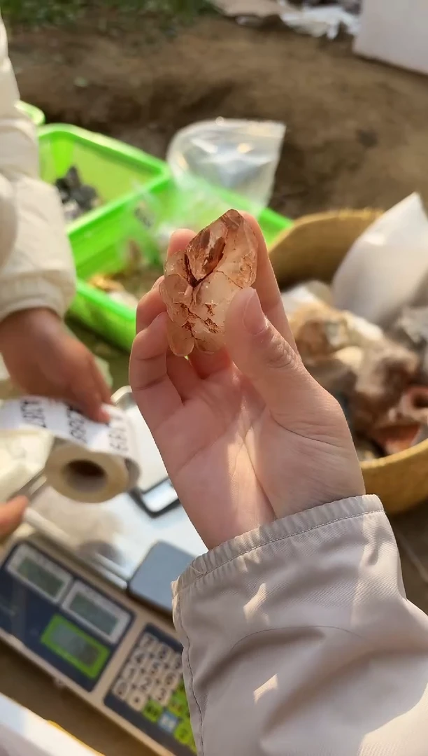 【闪购商品】水晶摆件未镶嵌骸骨386