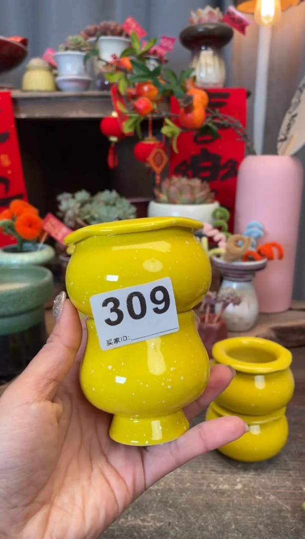 【闪购商品】摆件309知木小芳花盆