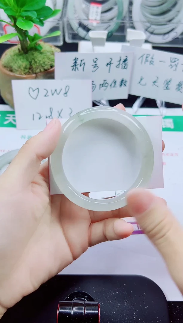 未镶嵌手镯石英质玉319-57/58