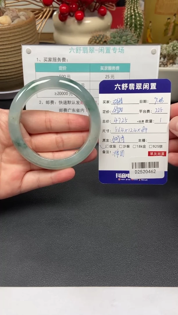 未镶嵌手镯翡翠古****.D2520462