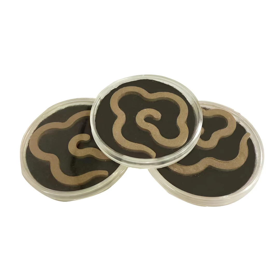 大祥云盘香室内熏香