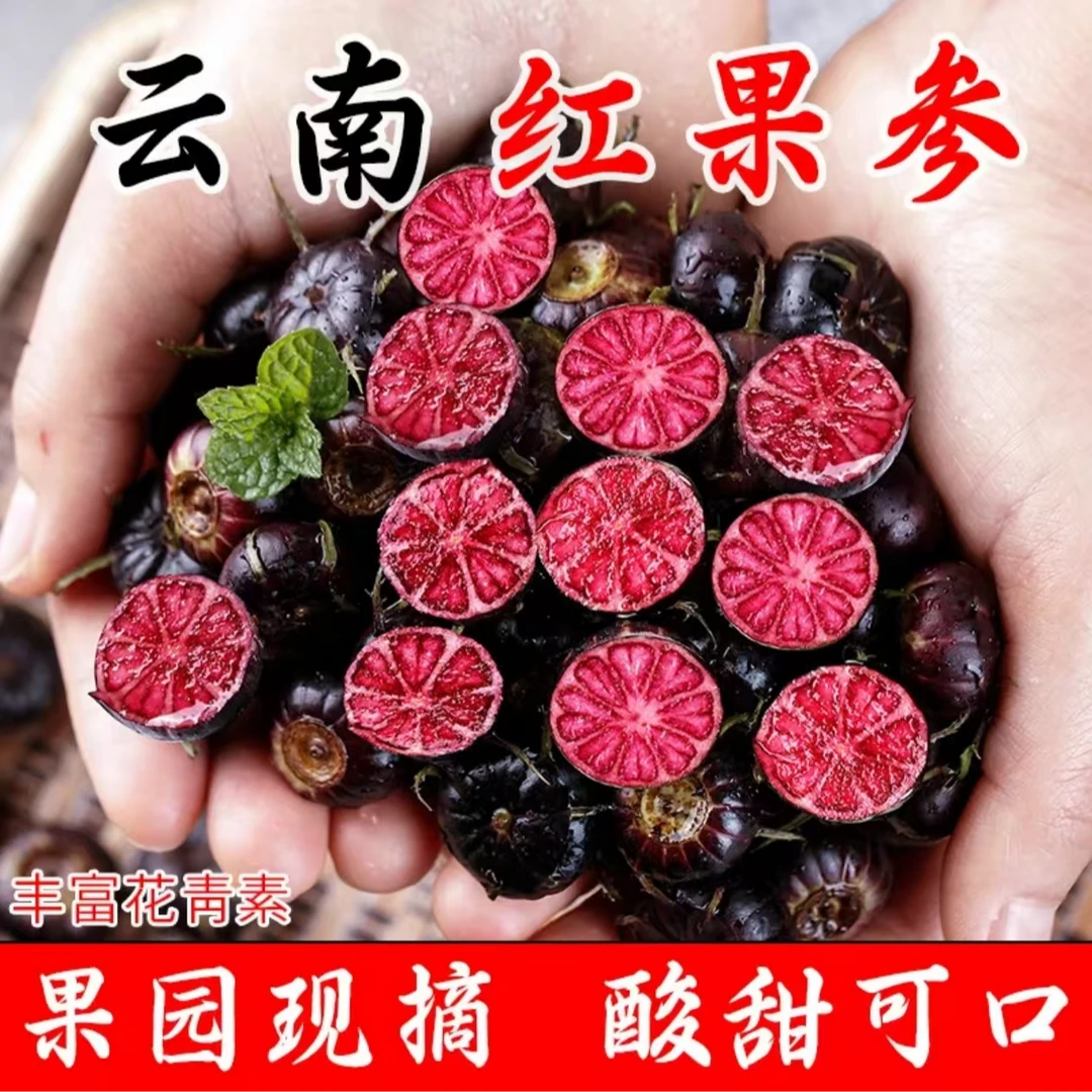 【正宗】云南红果参脆甜算盘果当季高原水果非蓝莓蜘蛛果罕见S7-S1
