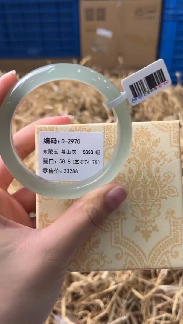 未镶嵌手镯石英质玉D-2970