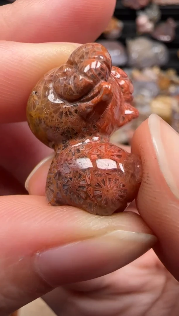 硅化珊瑚（珊瑚玉）未镶嵌颈饰241