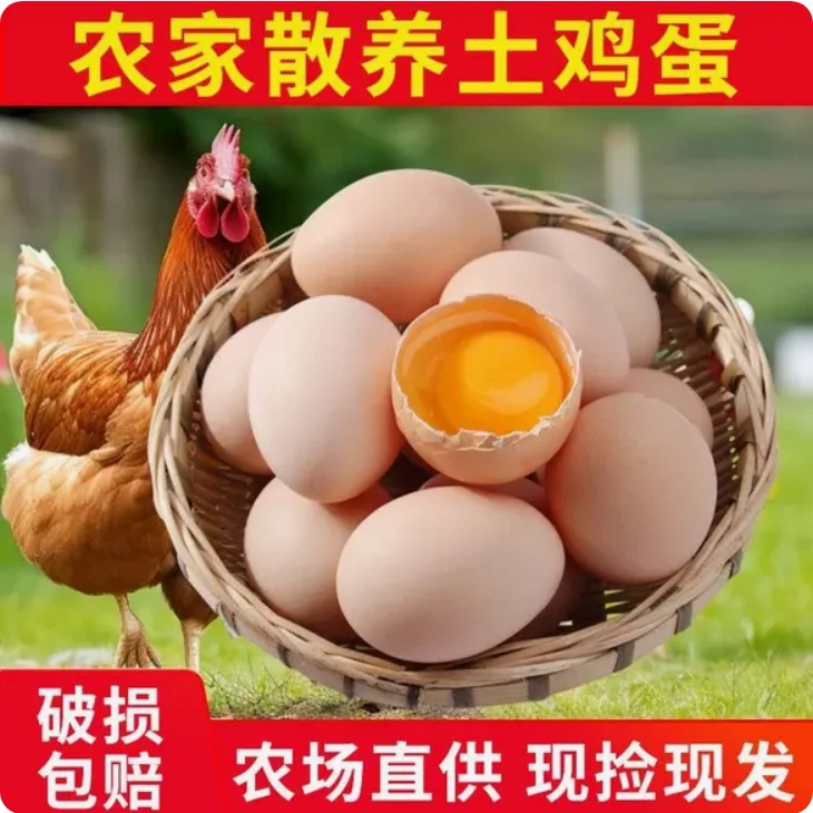 【厂家直发】正宗山林农家散养土鸡蛋营养健康鲜蛋