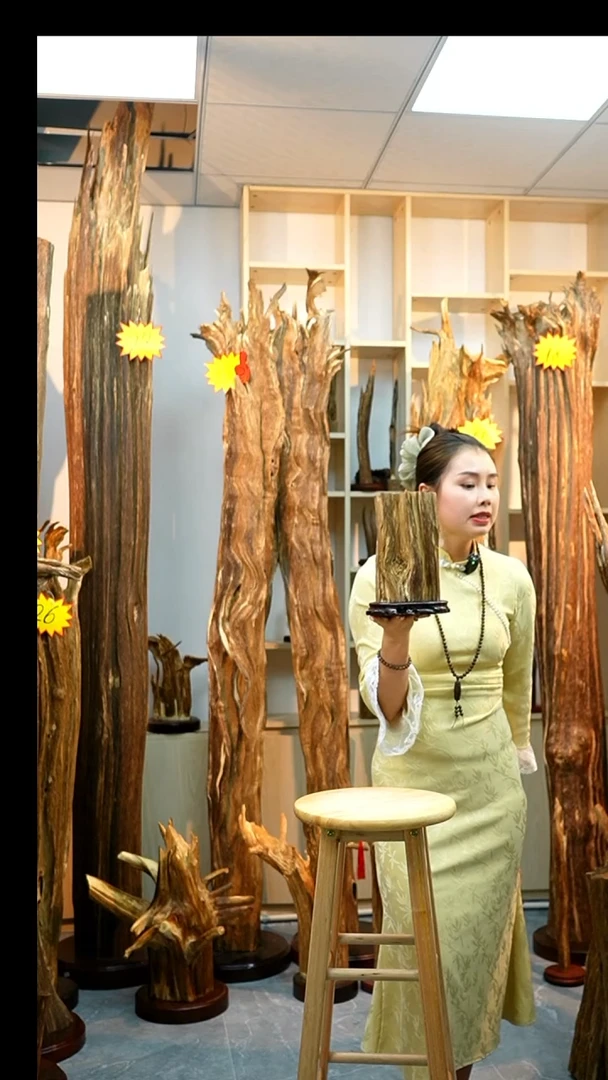 沉香木沉香碎屑沉香原料20