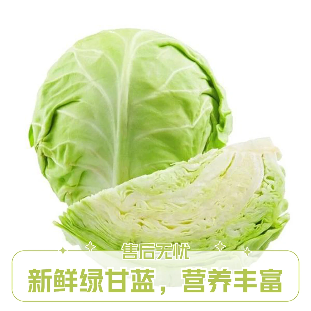 【五泉精选】包菜500g