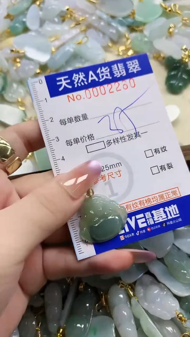 颈饰未镶嵌翡翠天然A货翡翠