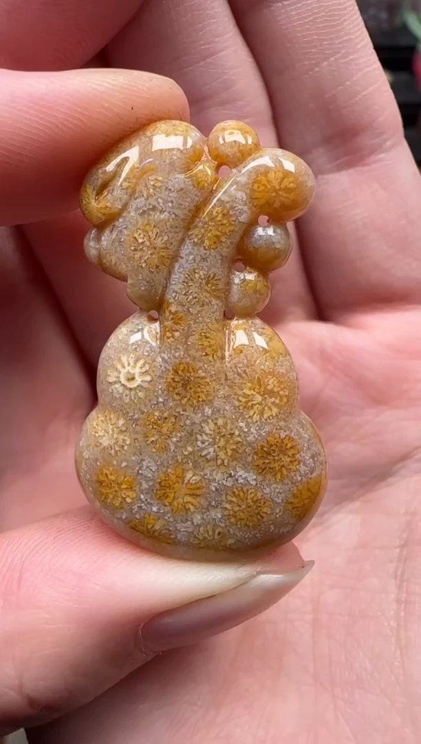 颈饰未镶嵌硅化珊瑚（珊瑚玉）587