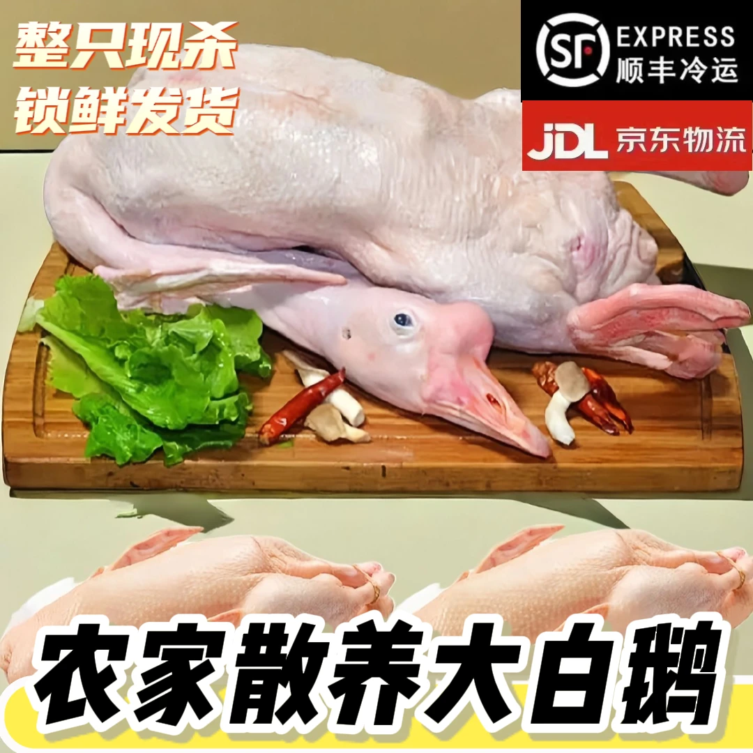 【送两只鸡】农家散养大白鹅整只处理新鲜宰杀冷链包邮
