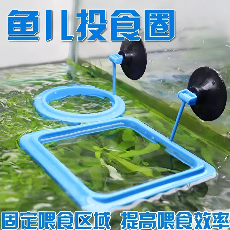 鱼缸喂食器水族箱鱼食投食器喂食圈小型鱼热带孔雀饲料浮力投喂器