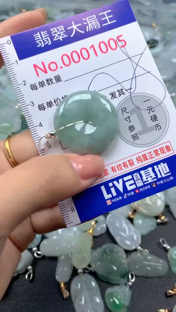 颈饰未镶嵌翡翠1005