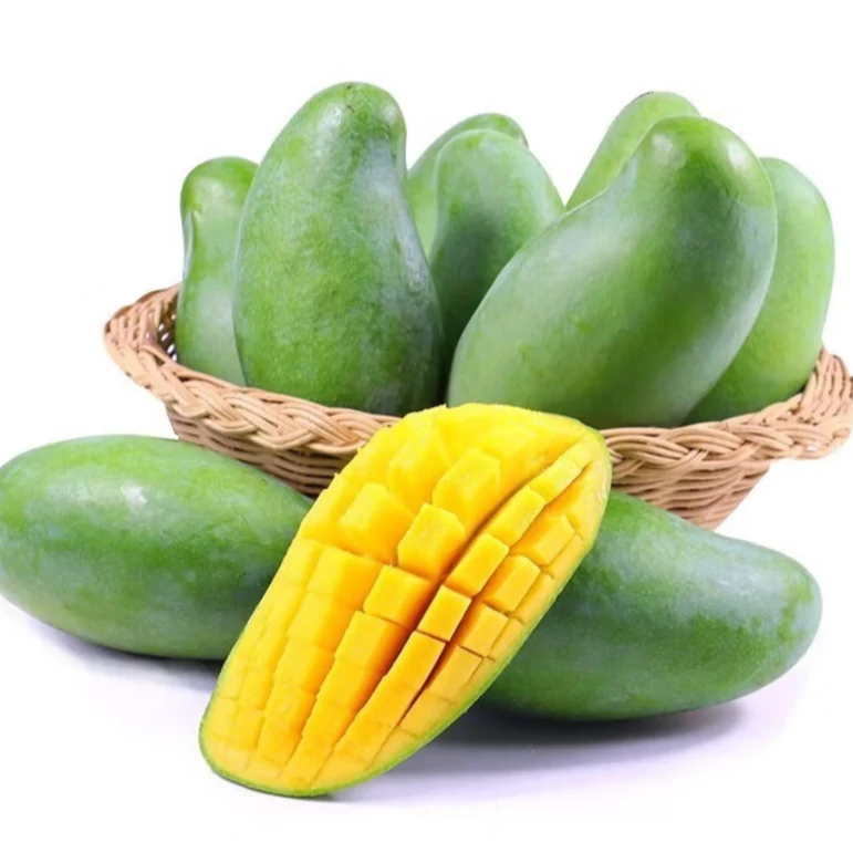 大果广西百色田东大桂七芒果现摘新鲜当季水果芒果 9斤精美礼盒装