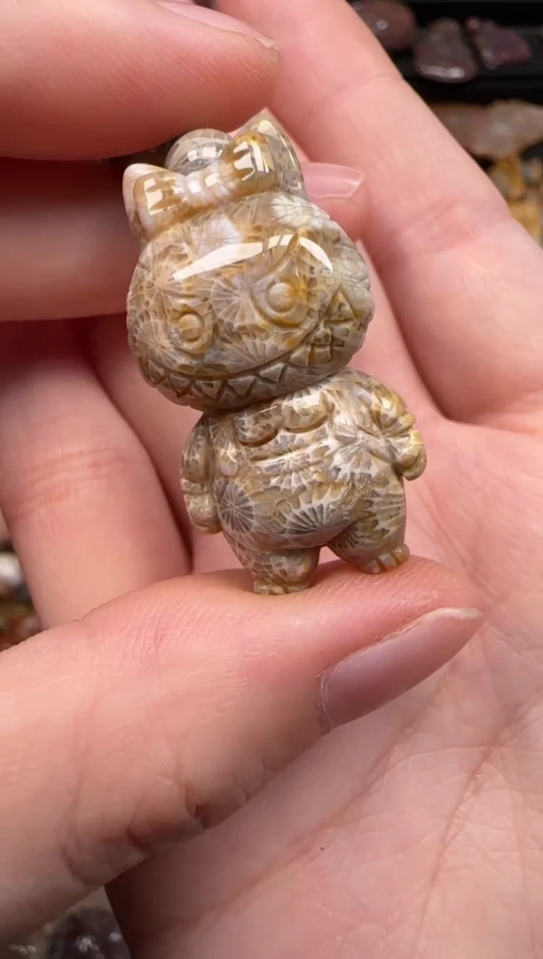 硅化珊瑚（珊瑚玉）未镶嵌颈饰531