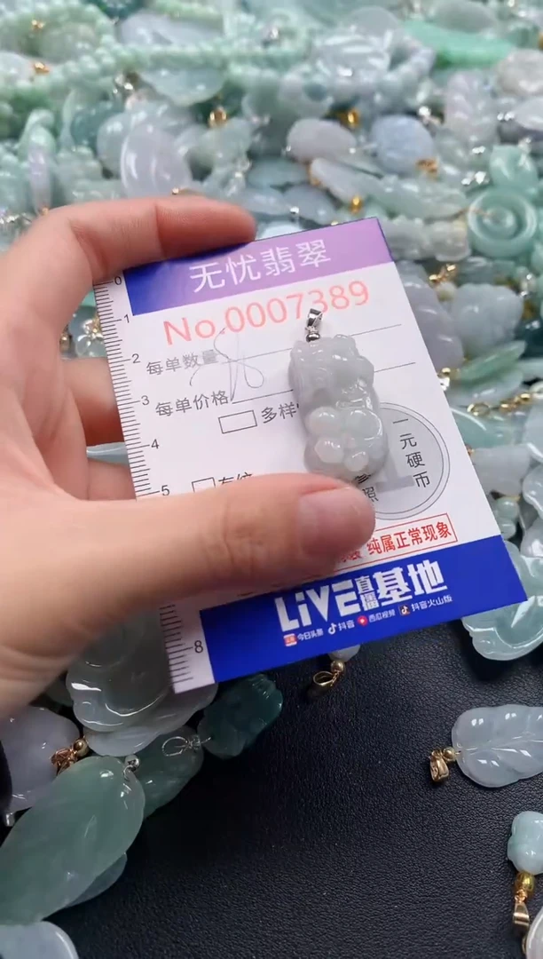 颈饰未镶嵌翡翠7389