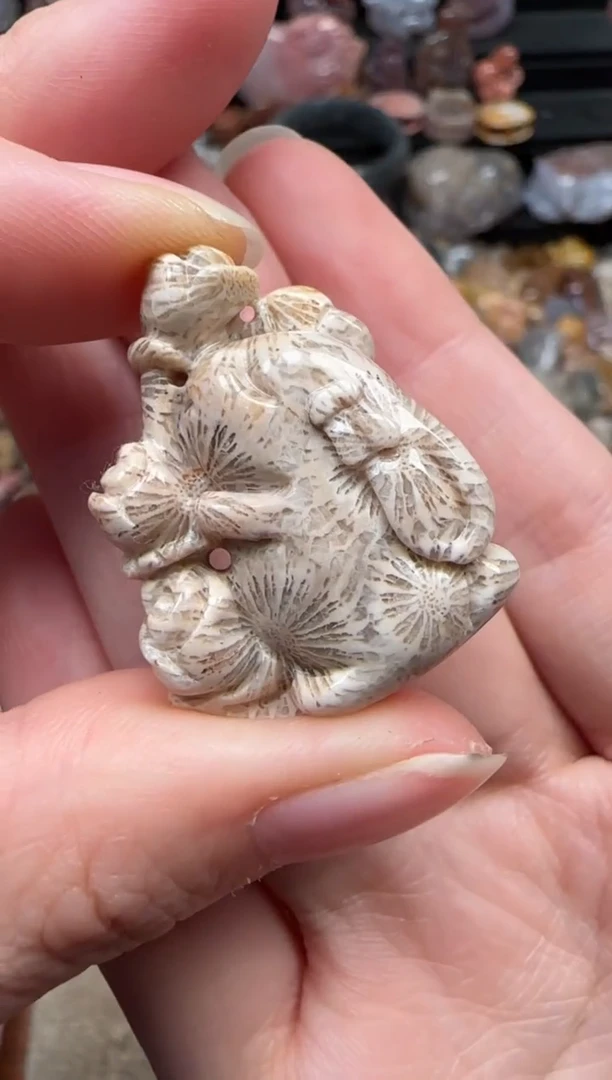 颈饰未镶嵌硅化珊瑚（珊瑚玉）736