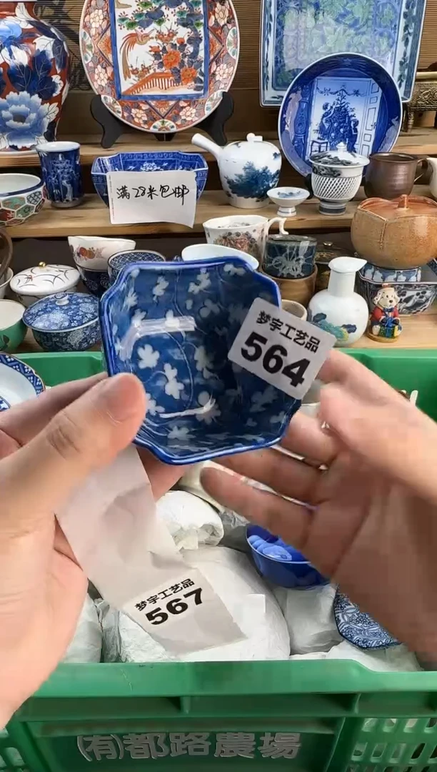 瓷片D*瓷器      B   564