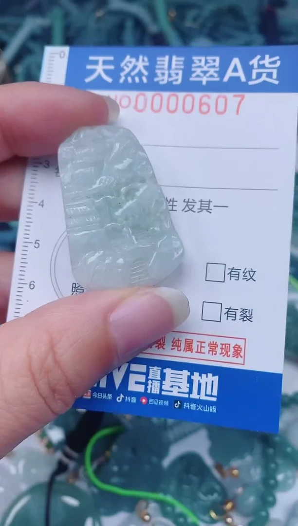 颈饰未镶嵌翡翠00000607