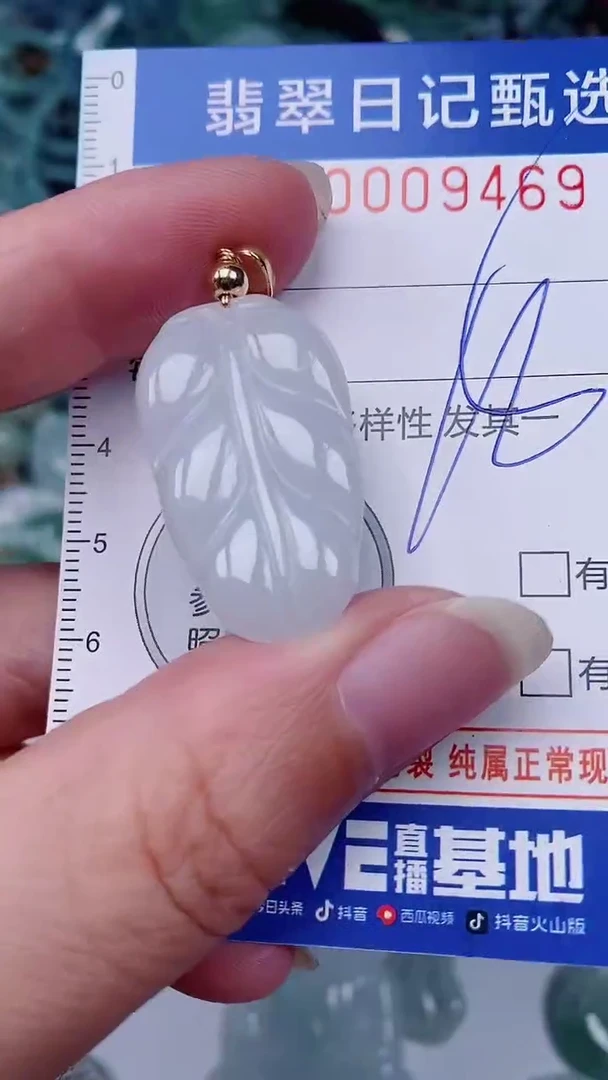 翡翠未镶嵌颈饰00009469