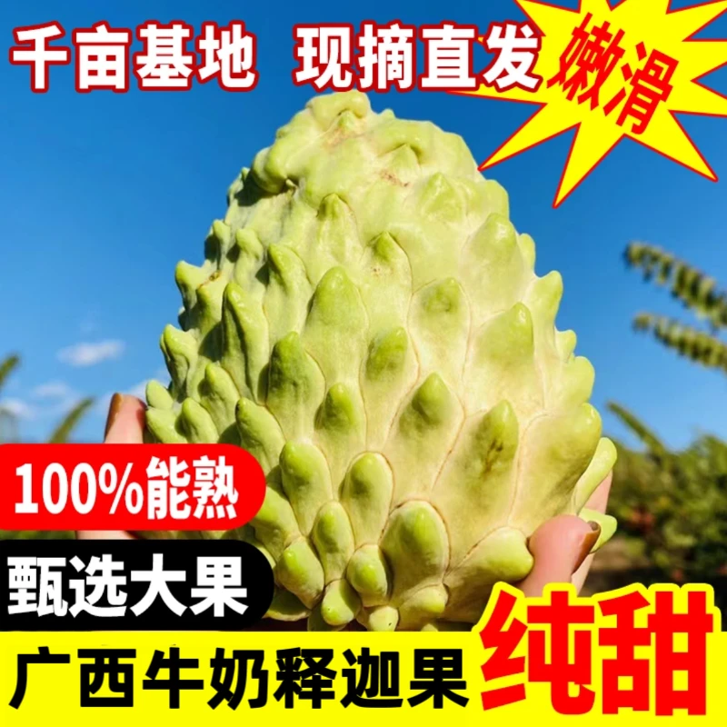 正宗牛奶凤梨释迦果新鲜水果清甜大果现摘佛头尼果