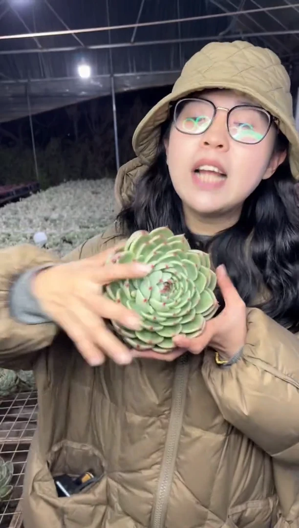 【闪购商品】77-托斯卡内丽9.99