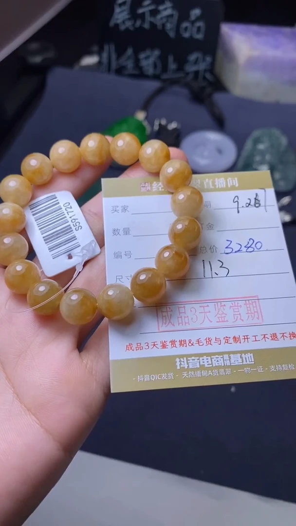 颈饰未镶嵌翡翠挂饰
