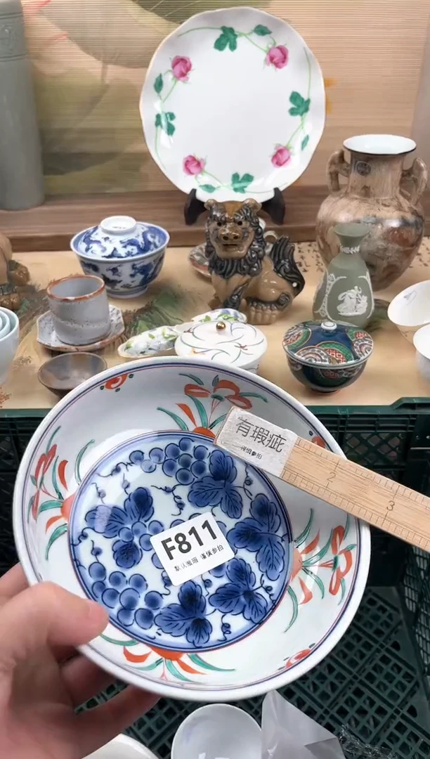 瓷片上****物811
