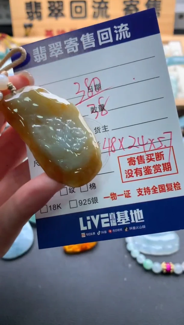 颈饰未镶嵌翡翠10144886