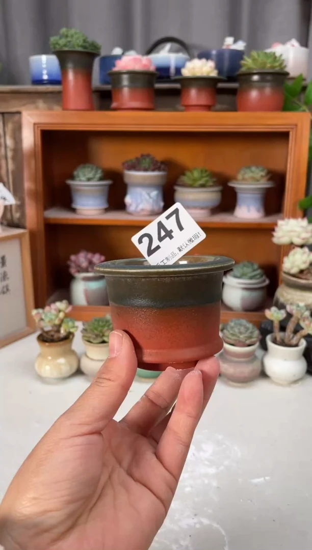 瓷片247小芳直播编号