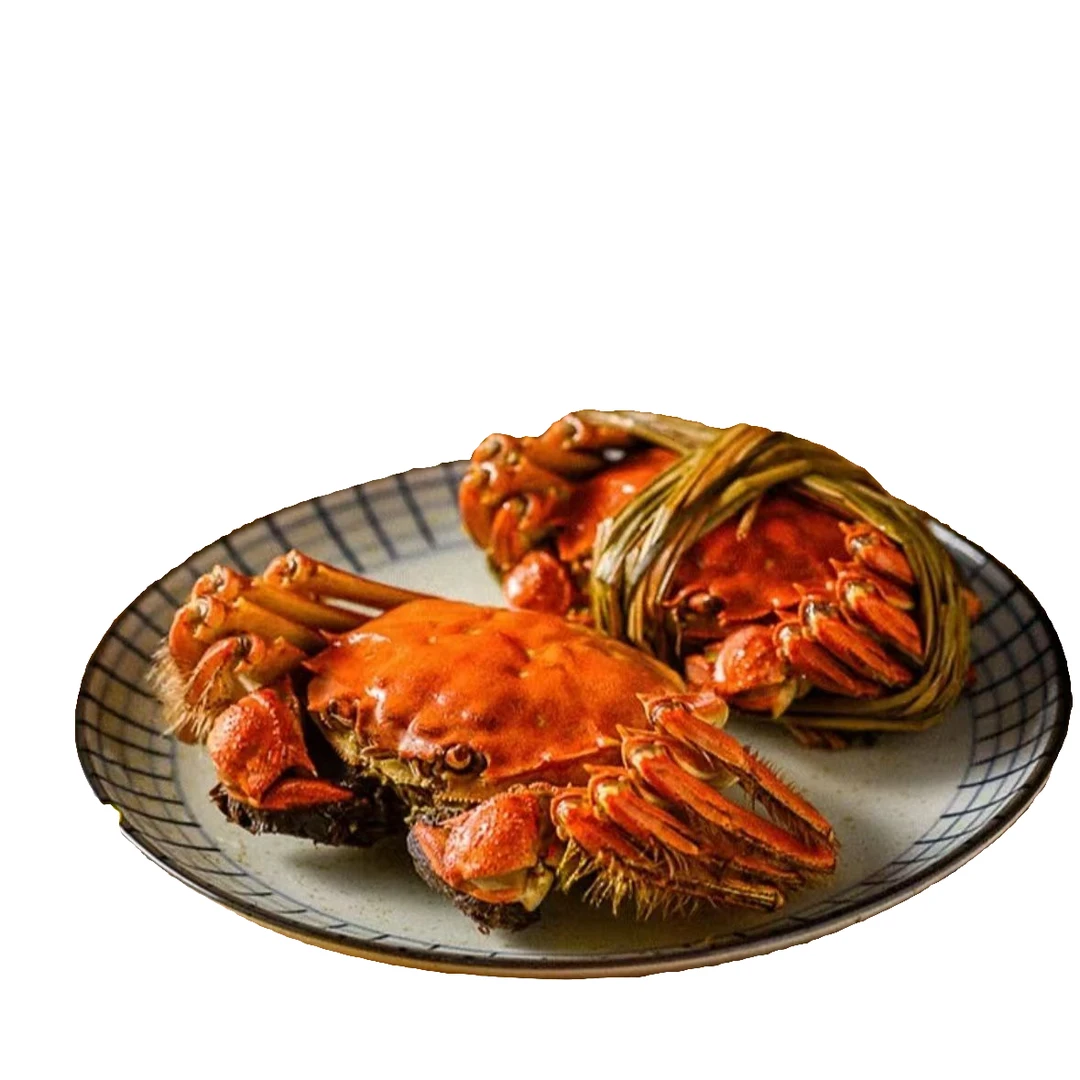 【纯母活蟹】（3.9-4.1两/只）*8/10只大闸蟹河蟹母蟹活螃蟹顺丰