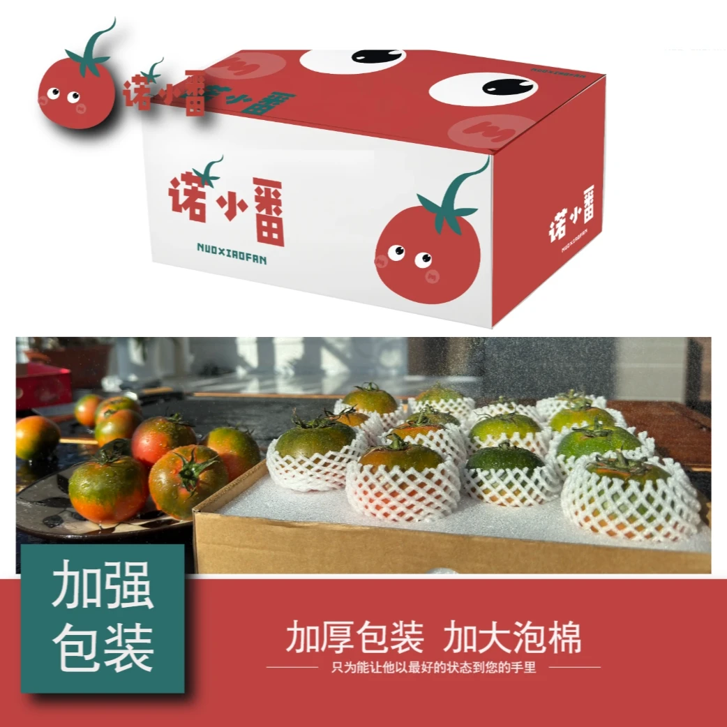 诺小番™AI精选碱地番茄（5斤精装24颗）