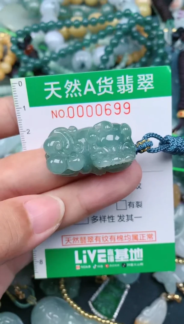 翡翠未镶嵌颈饰.0000699