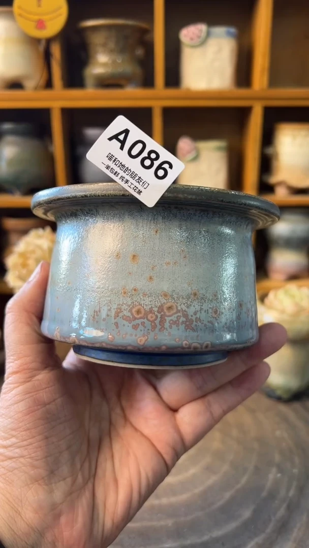 086 内口8【多肉花盆多肉盆】