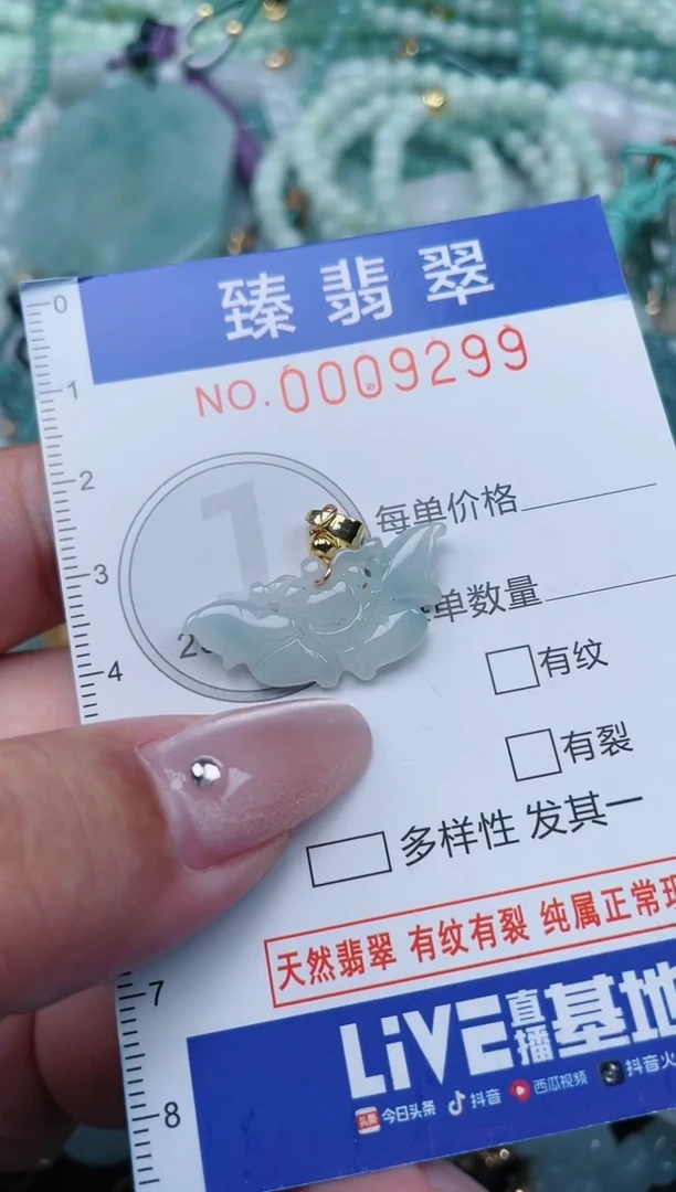 翡翠未镶嵌颈饰.0009299