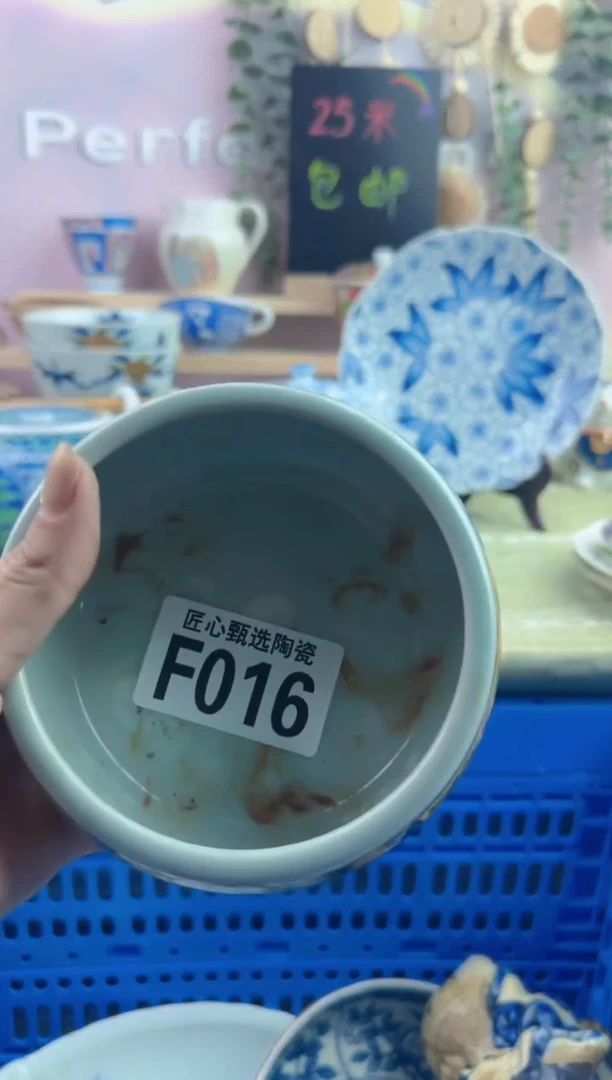 瓷片颜       F016