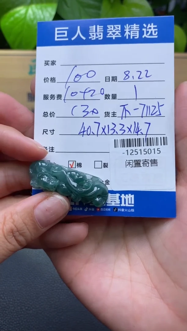 颈饰未镶嵌翡翠多人-12515015