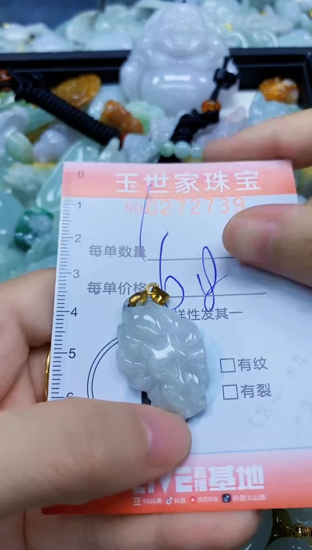 翡翠未镶嵌颈饰闪购0272739