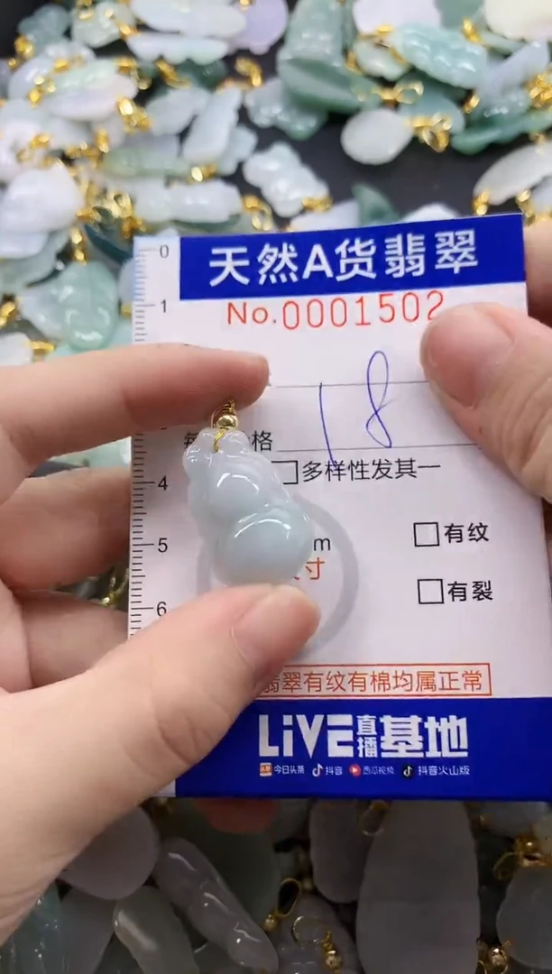 颈饰未镶嵌翡翠天然A货翡翠