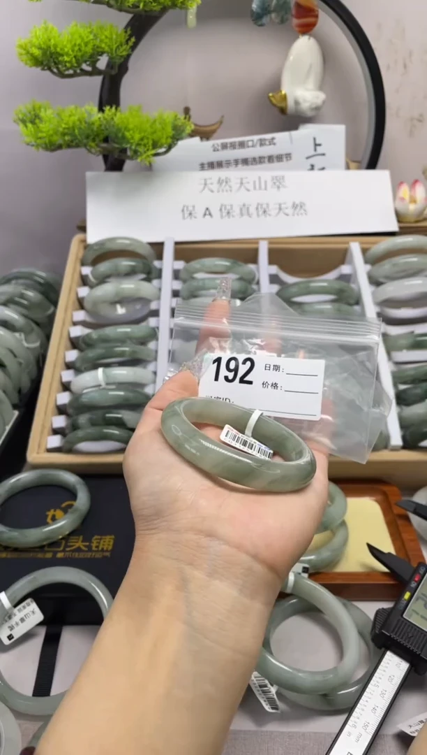 石英质玉（天山翠）手镯未镶嵌192