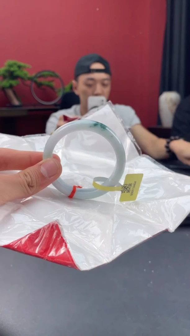 未镶嵌手镯翡翠15