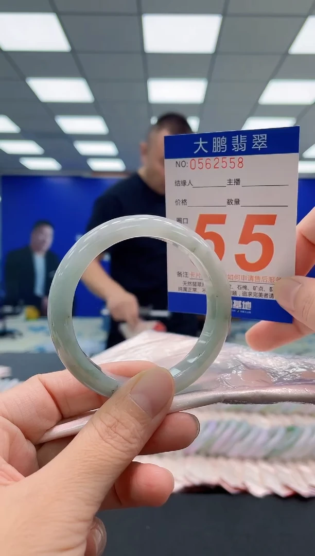 未镶嵌手镯翡翠AAAAAAAAA